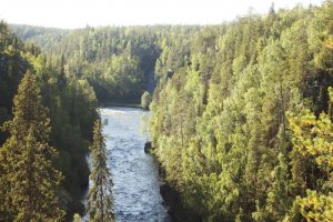 Hiking in Finland – Oulanka National Park edition