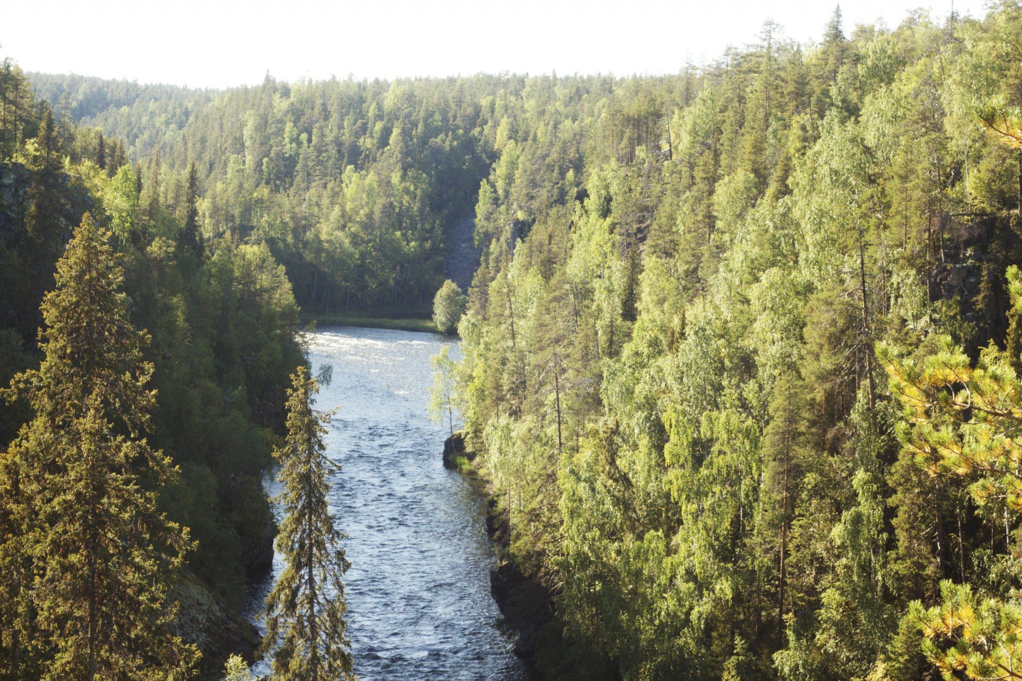 Hiking in Finland – Oulanka National Park edition