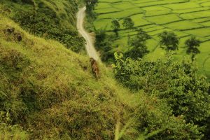 Why write a travel diary when on the road?